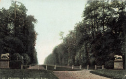 FRANCE - Chantilly - Vue Sur La Route Des Lions - Vue Générale - Carte Postale Ancienne - Chantilly