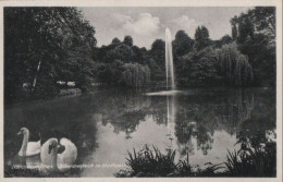 59151 - Nordhausen - Schwanenteich Im Stadtpark - 1938 - Nordhausen