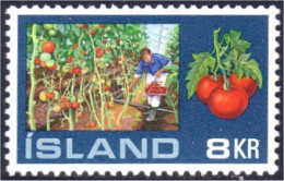 496 Iceland Tomate Tomatoes Tomato Tomates Serre Greenhouse VLH * CH Tres Legere (ISL-260) - Volcans