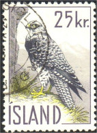 496 Iceland Falcon Peregrine (ISL-162) - Águilas & Aves De Presa