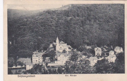 3728	99	Schlangenbad, (gestempelt 1921)  - Schlangenbad