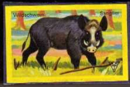 Boîte D'Allumettes - SANGLIER - ANIMAUX - Matchboxes