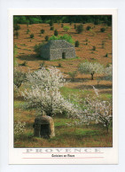 Provence: Cerisiers En Fleurs, Borie, Image De Provence, Photo: Wallis (24-79) - Alberi