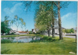 86  COUHE VERAC (Vienne) L'étang Et Le Nouveau Jardin Public -circulé - Imp. CIM Combier - Couhe