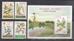 Belarus 1996 - Medicinal Plants, Mi-Nr. 158/61+Block 11, MNH** - Belarus