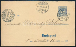 1907 Rendőrségi Bejelentést Igazoló Szelvény "BUDAPEST" - Sonstige & Ohne Zuordnung