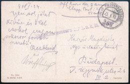 1918 Tábori Posta Képeslap "Säbelchargenkurs Der K.u.u. 11. Armee" + "EP 256" - Altri & Non Classificati