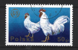 Polen 1975 Fauna Y.T. 2217 (0) - Used Stamps