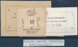 Szovjetunió ~1980. 12db Klf Kolhoz Elszámolási Jegy T:II,III Soviet Union ~1980. 12pcs Of Diff Kolkhoz Notes C:XF,F - Ohne Zuordnung