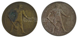 Berán Lajos (1882-1943) 1930. "Budapesti (Budai) Torna Egylet 1869 - Botond" Kétoldalas, Ezüstözött Bronz és Bronz Sport - Sin Clasificación