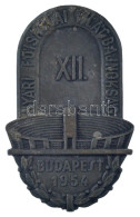 1954. "XII. Nyári Főiskolai Világbajnokság Budapest" Fém Emlékplakett (65x40mm) T:2,2- Patina - Ohne Zuordnung