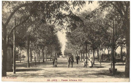 0 - B21562CPA - JACA - ESPAGNE - Paseo Alfonso XIII - Très Bon état - EUROPE - Altri & Non Classificati