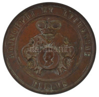 Ausztria 1861. Kétoldalas Gyermekáldás Alkalmából Kiadott Bronz Emlékérem "ADINOLPHI ET LVCRETIAE - FILIVS / HENRICVS LV - Non Classificati