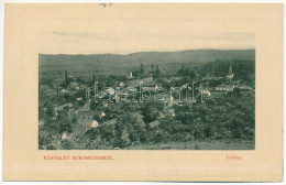 T2/T3 1911 Borossebes, Boros-Sebes, Sebis; Látkép. W.L. Bp. 5283. Uránia Nyomda Kiadása / General View (EK) - Ohne Zuordnung