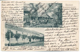 T2/T3 1905 Buziásfürdő, Baile Buzias; Csajaky Villa és Udvara. Nosek Gusztáv Kiadása / Villa And Garden (EB) - Unclassified