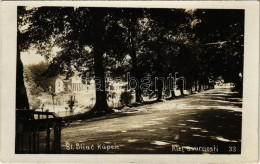 * T2/T3 1928 Szliácsfürdő, Kúpele Sliac; Alej Svornosti / Harmónia Fasor, Sétány / Promenade, Villa, Photo - Unclassified