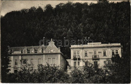 T2/T3 Trencsénteplic-fürdő, Kúpele Trencianske Teplice; Villa Fliegel / Villa Jókai, Nyaraló. Werheimer Zsigmond Kiadása - Ohne Zuordnung