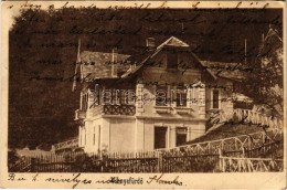 * T2/T3 1913 Vihnye, Vihnyefürdő, Kúpele Vyhne; Elvira Lak. Joerges Kiadása / Villa (EK) - Sin Clasificación