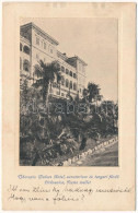 T2 1909 Crikvenica, Cirkvenica; Therapia Palace Hotel Szálloda, Szanatórium és Tengeri Fürdő. Van-Dyck Nyomás / Hotel, S - Non Classificati
