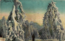 ** T2 Niagara Falls, Winter Scene In Prospect Park - Unclassified