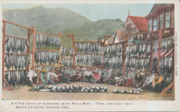 ** T2/T3 Santa Catalina Island, California; A 5 Ton Catch Of Albacore, With Rod & Reel, Time On Half Day (EK) - Sin Clasificación