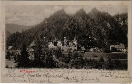 T2/T3 1905 Wildalpen (Steiermark), General View. Verlag Hans Zisler (EK) - Ohne Zuordnung