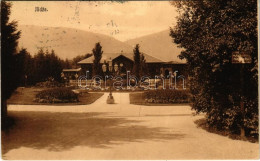 T2/T3 1916 Ilidza, Ilidze Bei Sarajevo; Restaurant, Park (EK) - Sin Clasificación