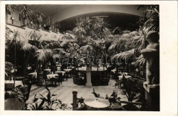 T2/T3 1941 Hradec Králové, Königgrätz; Grand Hotel Urban, Palmengarten / Palmová Zahrada / Hotel, Palm Garden (EK) - Non Classificati