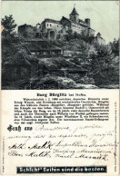 * T3 1899 (Vorläufer) Krivoklát, Pürglitz; Burg Bürglitz Bei Horitz / Castle. Schicht Soap Advertisement. Lith. Kunstans - Non Classés