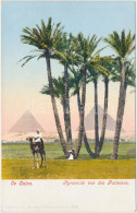 ** T1/T2 Cairo, Pyramid, Palms - Non Classificati