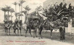 ** T1 Cairo, Chameaux Des Farahs / Farah Camels, Arabian Folklore - Sin Clasificación