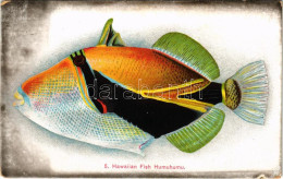 * T2/T3 Hawaiian Fish Humuhumu (ragasztónyom / Glue Mark) - Sin Clasificación