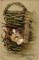 * T2/T3 Macska - Dombornyomott / Cat. P.F.B. Serie 2285. Embossed Litho (fl) - Sin Clasificación