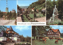 72319897 Pappenheim Mittelfranken Wanderziele Inselberg Spiessberghaus Trusetale - Pappenheim