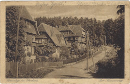 Braunlage Im Oberharz Der Rammsennweg 1924 - Braunlage