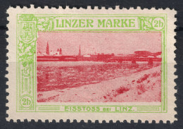 Bridge DANUBE River Ice LINZ Church Cathedral 1910 Austria Charity Label Cinderella Vignette / LINZER MARKE - Ponti