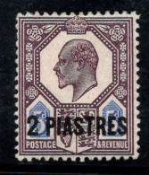 Levant Britannique 1905 Mi. 24 Neuf * MH 100% Surimprimé 2 Pias, Roi Édouard - Levante Britannico