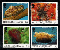 Îles Vierges Britanniques 1998 Mi. 932-935 Neuf ** 100% Faune Marine - Iles Vièrges Britanniques