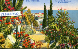 CPA - MONACO - JARDIN EXOTIQUE ET LE ROCHER - Jardin Exotique