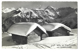 Suisse -  Motiv Auf Braunwaldalp  Mit Hausstockkette - Braunwald