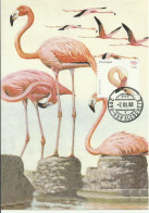 Carte Maximum - Oiseaux - Portugal - Flamingo - Flamant Rouge - Phoenicopterus Ruber - Flamants