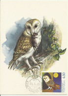 Carte Maximum - Oiseaux - Portugal - Coruja Das Torres - Chouette Effraie - Barn Owl - Tyto Alba - Hiboux & Chouettes