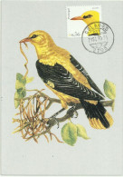 Carte Maximum - Oiseaux - Portugal - Loriot D'Europe - Papa-figos - Golden Oriole - Oriolus Oriolus - Passereaux