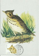 Carte Maximum - Oiseaux - Portugal - Cotovia Montesina - Cochevis De Thékla - Thekla's Lark - Galerida Theklae  - Zangvogels