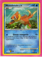 Carte Pokemon 2007 Diamant Et Perle 72/130 Mustebouée 60pv Bon Etat - Diamond & Pearl 