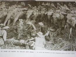 PHOTO CHASSE AU TIGRE DU PRINCE DE GALLES 1922 - Non Classés