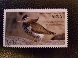 Pierre Miquelon 2022 Bird Spotted Sandpiper Chevalier Grivelé Aves Vogel 1v Mnh - Unused Stamps