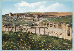 Jerash - The Forum And The Temple Of Zeus - Jordan