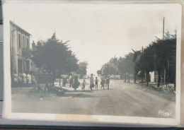 Tharon-Plage (L.-I.) - Avenue De La Plage (édition CIM, Combier, Mâcon) - Tharon-Plage