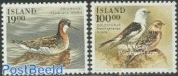 Iceland 1989 Birds 2v, Mint NH, Nature - Birds - Ducks - Nuevos